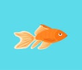 Vector aquarium golden fish silhouette illustration Royalty Free Stock Photo