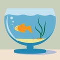 Vector aquarium with golden fish silhouette illustration. Colorful funny cartoon flat aquarium vector icon on Royalty Free Stock Photo