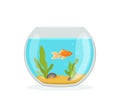 Vector aquarium golden fish silhouette illustration with water, seaweed, shells, sand bubbles.