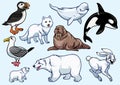 Arctic Animal Set