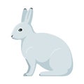 Vector arctic hare Royalty Free Stock Photo