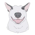 Vector art of bull terrier portrait on white background. Hand drawn illustration of cute cartoon dog head. Open mouth dog head Royalty Free Stock Photo