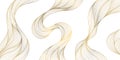 Vector Art Deco Wavy Luxury Pattern, Golden Wave Line Japanese Style Background. Organic Dynamic Pattern, Texture For