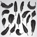 Feathers collection vector icon set.