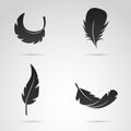 Feather collection vector icon set.