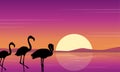 Vector art flamingo silhouette scene at sunset Royalty Free Stock Photo