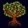 Vector art illustration of branchy tree with strong roots. Tree Royalty Free Stock Photo