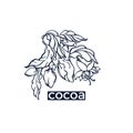 Vector art line logo. Chocolate symbol Cocoa tree Royalty Free Stock Photo