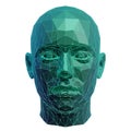 Vector art of a low poly 3d model of a human head, showcasing a modern and artistic representation of anatomy Royalty Free Stock Photo