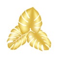 Vector art of monstera leaves in gold.