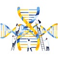 Vector art of scientists collaborating on dna research, , symbolizing advancements in genetics and molecular biology for future Royalty Free Stock Photo
