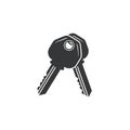 Vector art of two metal keys, representing security, access, and the ability to unlock doors and protect property Royalty Free Stock Photo
