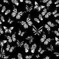 Vector. Art white butterflies on black, colors. Cute background for paper, design of fabric, wrappers and wallpaper. seamless patt Royalty Free Stock Photo