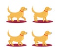 Vector assets to animate cute dog