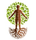 Vector athletic man created as continuation of tree with strong roots and organic green leaves. Green tourism, go green idea Royalty Free Stock Photo