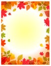 Vector autumn background design templat Royalty Free Stock Photo