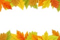 Vector autumn background on white