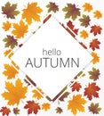 Vector autumn banner set. Illustration. Royalty Free Stock Photo