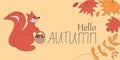 Vector autumn banner with smiling squirrel, bright falling leaves. Greeting card for the fall season