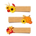 Vector autumn banners with pumpkins, flowers and apples.