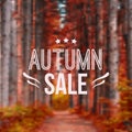 Vector autumn blurred illustration with road, trees and typography text