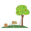 Vector autumn clipart with apple tree, wheelbarrow, wooden crate and apples, isolated on white background. Royalty Free Stock Photo