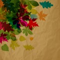 Vector of autumn colorful tranparent leaves on a crumpled paper brown background.
