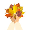 Vector autumn composition or bouquet of leaves, foliage in hands. Yellow, orange, purple autumn leaves.