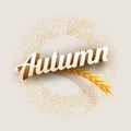 Vector Autumn Design