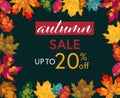 Vector Autumn,Fall Discount Banner with Hand drawn Colorful Leaves. Autumn Sale Template