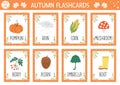 Vector Autumn flash cards set. English language game with cute pumpkin, mushroom, umbrella, acorn for kids. Fall season flashcards Royalty Free Stock Photo