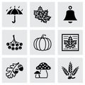 Vector Autumn icon set Royalty Free Stock Photo