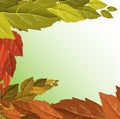 Vector autumn illustration. Beautiful tree foliage fall seasonal background pattern. Autumn tree vector. Natural illustration Royalty Free Stock Photo