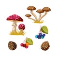 Vector autumn illustration of cute mushrooms, berries and cones. Set of autumn elements for DIY Royalty Free Stock Photo