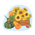 Vector autumn illustration with pumpkin.Pumpkin, sunflowers and mushrooms in color vector illustration with text.