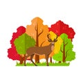 Vector autumn landscape. Deer in the autumn forest