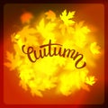 Vector autumn leaves background design, unfocused blurred red maple leaves backdrop Royalty Free Stock Photo