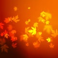 Vector autumn leaves background design, unfocused blurred red maple leaves backdrop Royalty Free Stock Photo