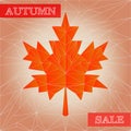 Vector autumn polygonal sale poster Royalty Free Stock Photo