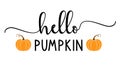 Vector autumn quote Hello Pumpkin with autumn pumpkin isolated on white background.