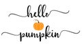 Vector autumn quote Hello Pumpkin with autumn pumpkin isolated on white background.