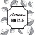 Vector autumn sale background