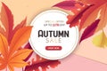 Vector autumn sale round banner with autumn leaves frame isolated on colorful background. Design for advertising, promotion, flyer Royalty Free Stock Photo