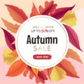 Vector autumn sale round banner with autumn leaves frame isolated on colorful background. Design for card, poster, website, Royalty Free Stock Photo