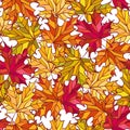 Vector autumn seamless pattern with colorful maple leaves on white background Royalty Free Stock Photo