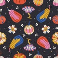 Vector autumn seamless pattern with colorful pumpkins on dark background. Perfect for Thanksgiving, fall, Halloween cards, fabric Royalty Free Stock Photo