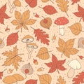 Vector autumn seamless pattern with oak, poplar, beech, maple, aspen and horse chestnut leaves, mushrooms, acorns and physalis bro Royalty Free Stock Photo