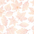 Vector autumn seamless pattern with oak, poplar, beech, maple, aspen and horse chestnut leaves outline on the white background.