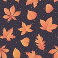 Vector autumn seamless pattern with oak, poplar, beech, maple, aspen and horse chestnut leaves and physalis of orange color Royalty Free Stock Photo