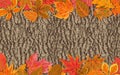 Vector autumn seasonal watercolor style Fall maple, chestnut, al